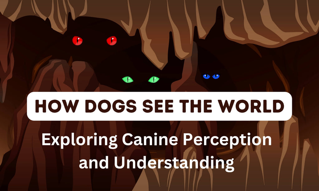 How Dogs See the World Exploring Canine Perception and Understanding