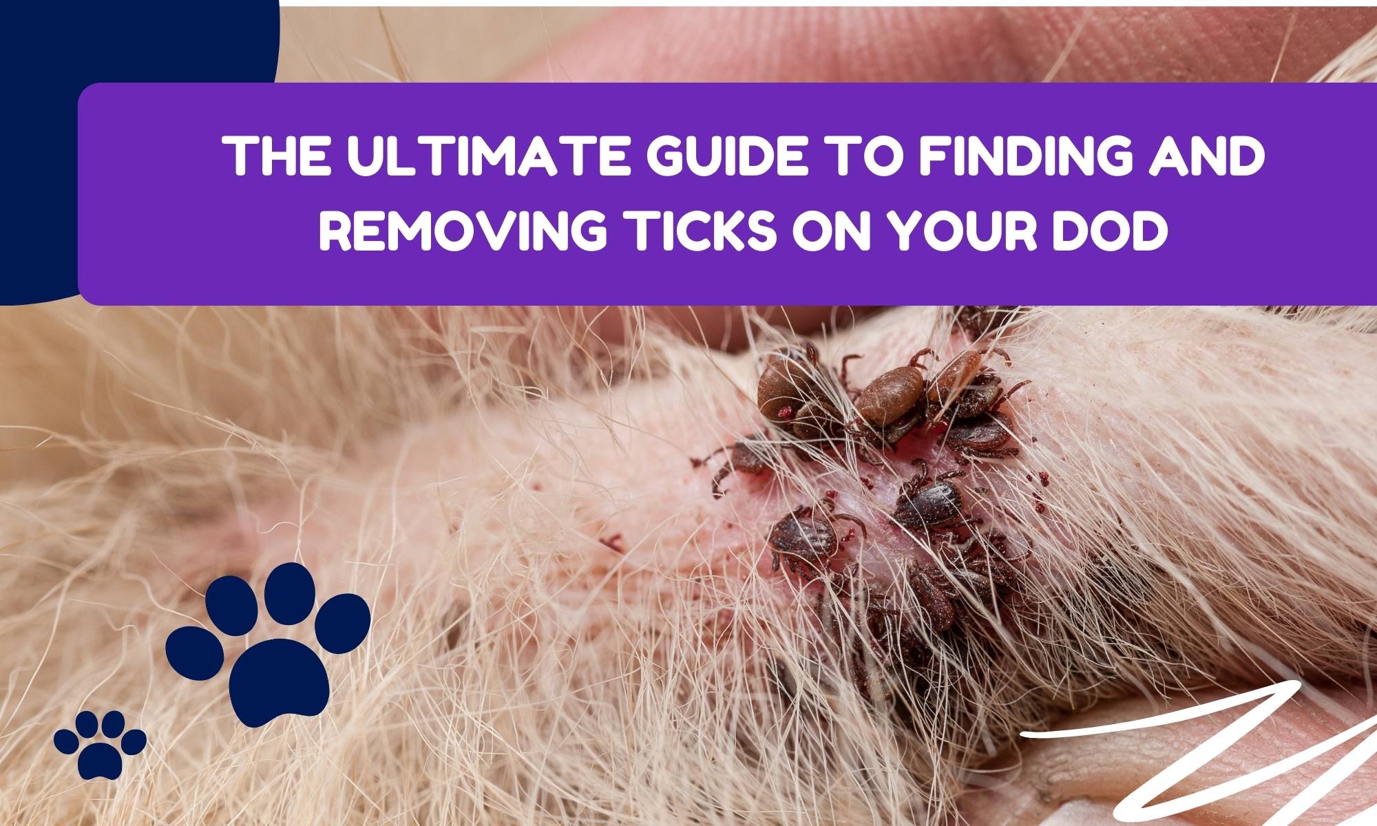 Pulling ticks out of dogs best sale